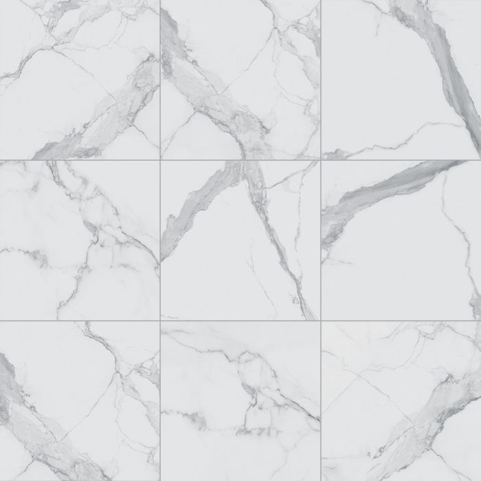 Eternal 12X12 Matte Statuario